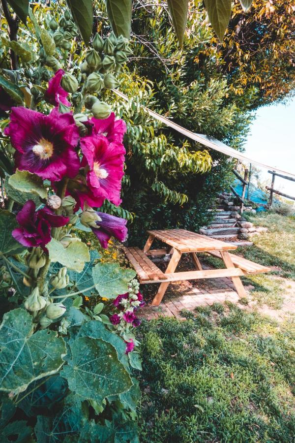 Agriturismo Dai Gobbi Fara Vicentino Exteriér fotografie